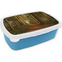 MuchoWow Broodtrommel Blauw - Lunchbox - Brooddoos - Bos - Natuur - Bomen - Landschap - Bladeren - 18x12x6 cm - Kinderen - Jongen