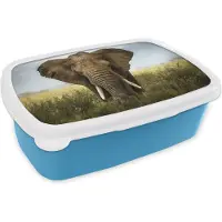 MuchoWow Broodtrommel Blauw - Lunchbox - Brooddoos - Olifant - Natuur - Gras - Dieren - Landschap - 18x12x6 cm - Kinderen - Jongen