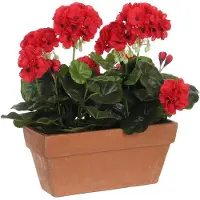 Mica Decorations Kunst Geranium Plant Voor Balkon