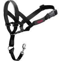 Halti Trainingshalsband