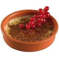 Cosy & Trendy 4x Creme brulee schaaltjes terracotta 13 cm - Serveerschalen