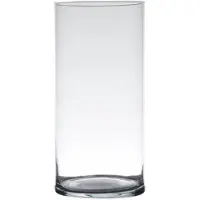 Hakbijl Glass Glazen bloemen cilinder vaas/vazen 25 x 12 cm transparant - Vazen
