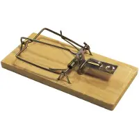 Bsi Muizenval | | 4 stuks (Hout)