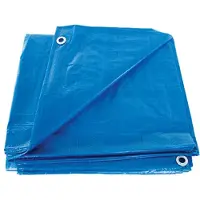Creative Kids Zwembad Afdekzeil - 305 x 204 cm - UV-Bestendig - Waterproof - met Bevestigingskoord - Blauw