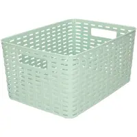 Forte Plastics Rotan gevlochten opbergmand/opbergbox kunststof - Mintgroen - 22 x 33 x 16 cm - Opbergbox