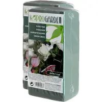 Pro Garden 2x stuks steekschuim/oase nat rechthoekig groen 20 x 10 x 7 cm - Hobbydecoratieobject