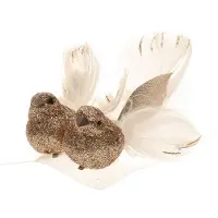 Cosy & Trendy 2x stuks decoratie vogels op clip glitter champagne 11 cm - Kersthangers