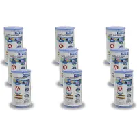 Intex 29000 filter cartridge type a 9 stuks voor zwembad 244/305/366 cm