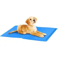 24.Se Pet Comfort Koelmat voor de Hond - maat S - 30 x 40 cm