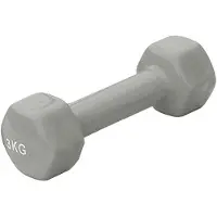 Sporti France Vinyl 3kg Dumbbell 2 Units Zilver 3 kg
