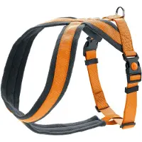 Hunter Hondentuigje London Comfort 52-62 cm Oranje Maat S/M
