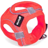 Gloria Hondentuigje Gloria Air Mesh Star Roze Maat XXS (24-26 cm)