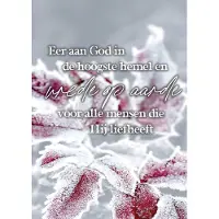 MajesticAlly Kerstkaart 'Eer aan God, Vrede op aarde ' 12 stuks met envelop