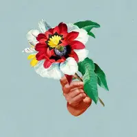 Pias Maribou State - Kingdoms In Colour (LP)