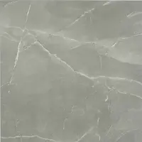 Maxaro Frost Grey Vloer-/Wandtegel 60x60 cm Grijs Natuursteenlook | Badkamer Vloertegels | Badkamertegels | Tegeloutlet