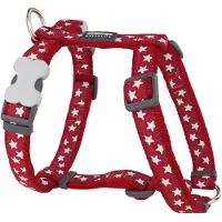 Red Dingo Style Star Hondenharnas