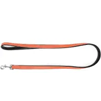 Gloria Leather Padded Hondenriem