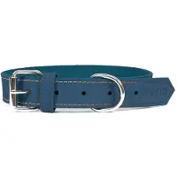 Gloria Oasis Hondenhalsband