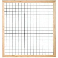 Intergard Tuinscherm trellis vuren 180x180cm