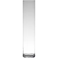 Hakbijl Glass Hakbijl glas - Bloemenvaas smal - Transparant - cilinder vorm - glas - 50 x 9 cm - Vazen