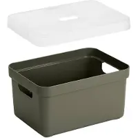 Sunware 2x stuks opbergboxen/opbergmanden groen van 5 liter kunststof met transparante deksel - Opbergbox