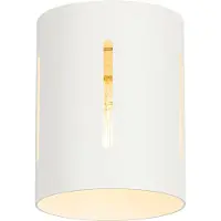 QAZQA Design plafondlamp wit met lichteffect - Yana