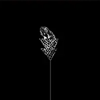 Konkurrent Wetware - Flail (LP)