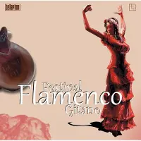 Coast2Coast Various Artists - Festival Flamenco Gitano - Best Of (CD)