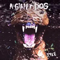 Konkurrent A Giant Dog - Pile (LP)