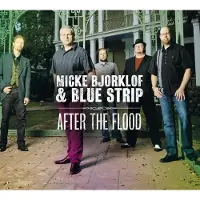Coast2Coast Micke Bjorklof & Lefty (Feat.Chef) - After The Flood (CD)