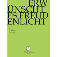 OUTHERE Erwünschtes Freudenlicht