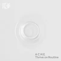OUTHERE American Contemporary Music Ensemble - Thrive On Routine (CD)