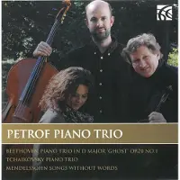 OUTHERE Petrof Piano Trio - Petrof Piano Trio (CD)