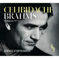 OUTHERE Wiener Symphoniker, Sergiu Celibidache - Symphony No.1 (CD)