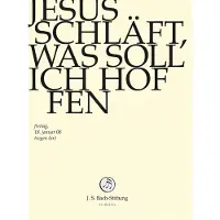 OUTHERE Chor & Orchester Der J.S. Bach-Stiftung, Rudolf Lutz - J.S. Bach: Jesus Schlaft, Was Soll Ich H (DVD)