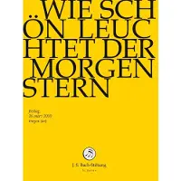 OUTHERE Wie Schön Leuchtet Der Morgen