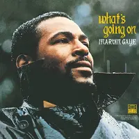 Universal Music Marvin Gaye - What's Going On Lp