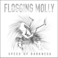 Import Speed of darkness