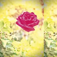 Ginza.se Lambchop - Trip (CD)