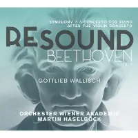 OUTHERE Gottlieb Wallisch, Orchester Wiener Akademie, Martin Haselböck - Re-Sound Beethoven, Vol. 6: Symphony 8 & Concerto For Piano After The Violin Concerto (CD)