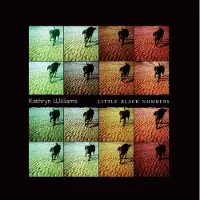 Bertus France Cnt Kathryn Williams - Little Black Numbers (LP)