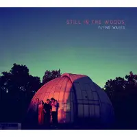 Coast2Coast Still In The Woods - Flying Waves (CD)
