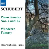 OUTHERE Eldar Nebolsin - Schubert: Piano Sonatas Nos. 4 And 13 | Wanderer Fantasy (CD)