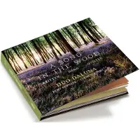 OUTHERE Duo Dalùna - A Song In The Wood (CD)