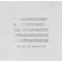 Konkurrent Aisha Burns - Life In The Midwater (LP)
