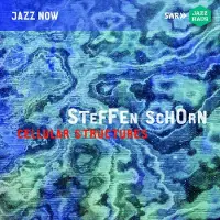 Ginza.se Steffen Schorn Ensemble - Cellular Structures (CD)