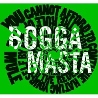OUTHERE Flat Earth Society - Boggamasta (CD)