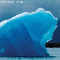 Konkurrent Imperial Teen - Now We Are Timeless (CD)