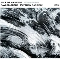 Ginza.se Jack DeJohnette, Ravi Coltrane, Matthew Garrison - In Movement (CD)