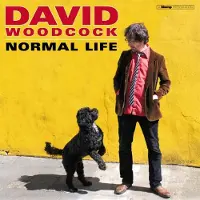 Import NORMAL LIFE
